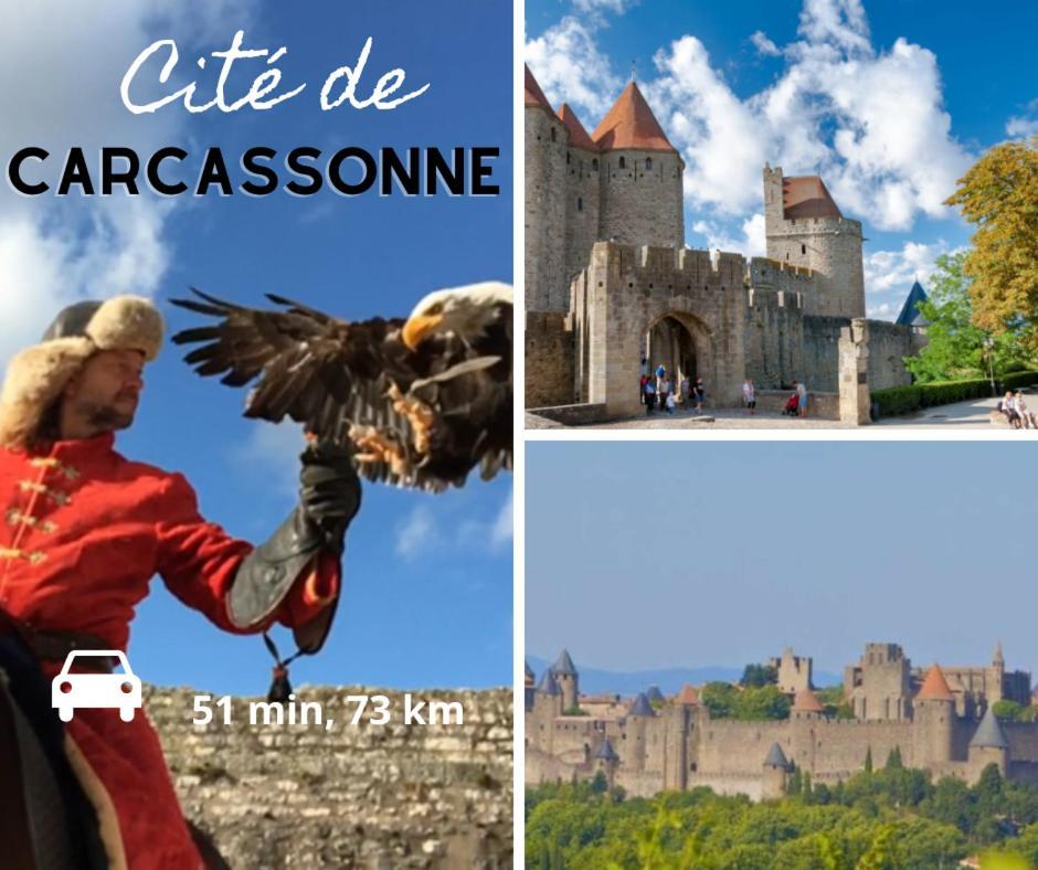 Charmant Studio Rue Droite Нарбонна Экстерьер фото